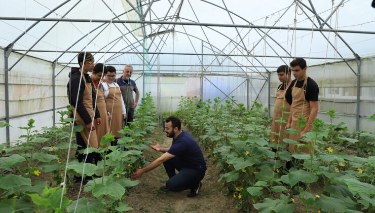 BÜYÜKŞEHRİN KURDUĞU SERALARDA “ÖZEL ÖĞRENCİLER” ÜRETİM YAPIYOR