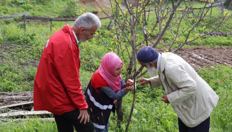 ‘AŞI ORDUSU’ SAHADA