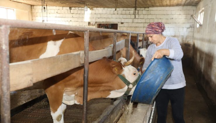 1 TANE İLE BAŞLADI 20’YE ULAŞTI