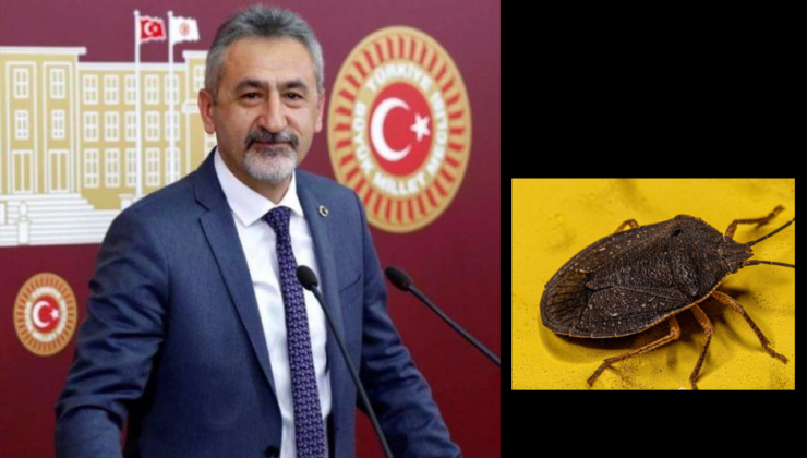 TÜRKİYE’YE YAYILIYOR